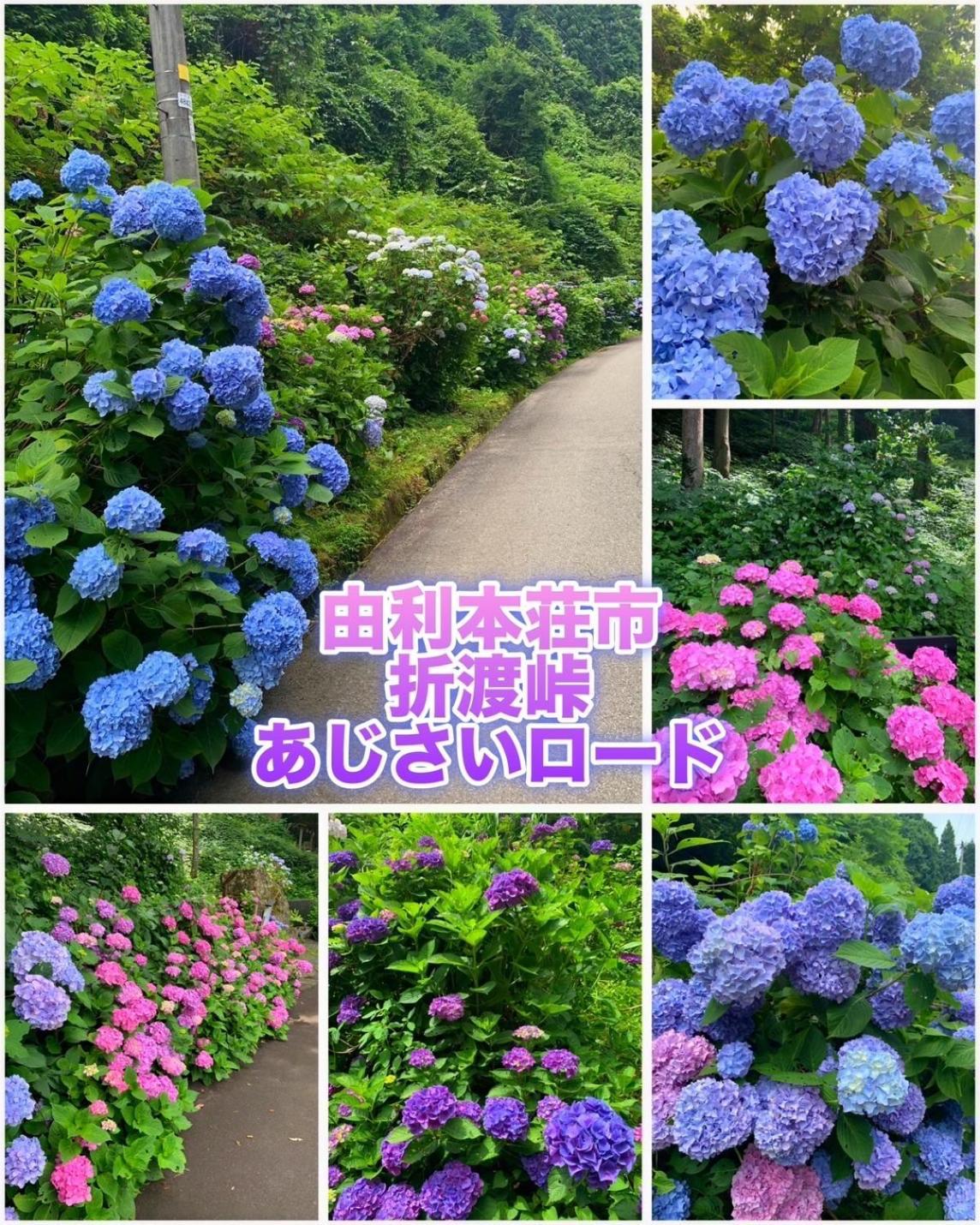 Hotel Dolphia-Adult Only Daisen (Akita) Exterior foto