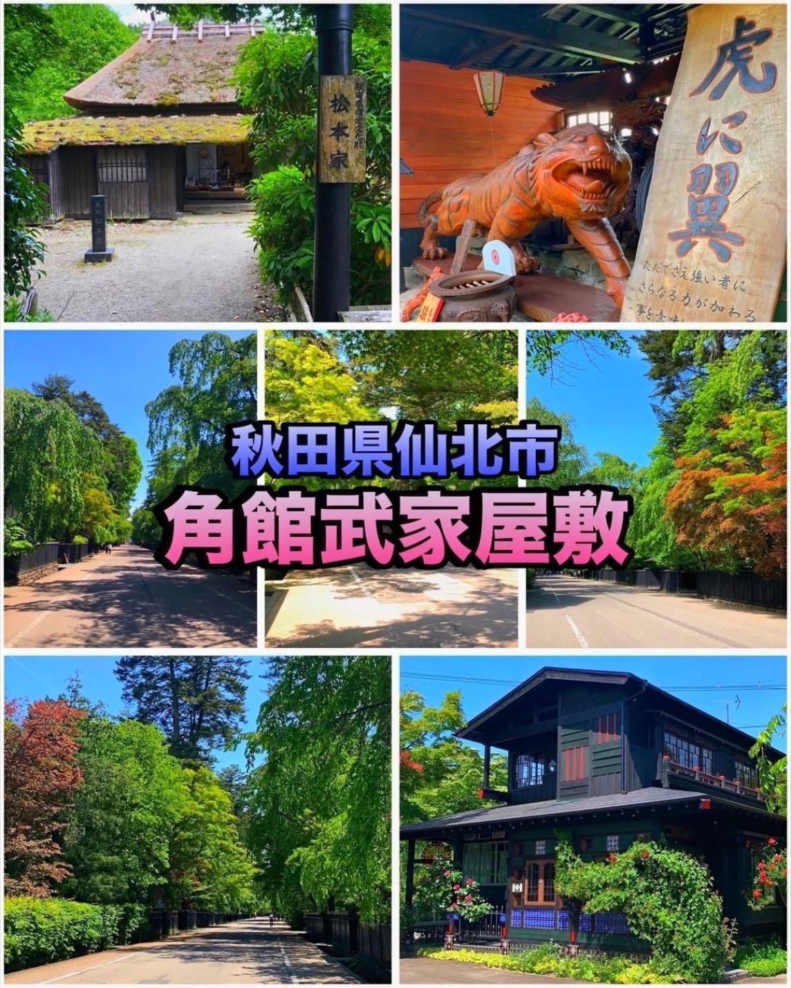 Hotel Dolphia-Adult Only Daisen (Akita) Exterior foto