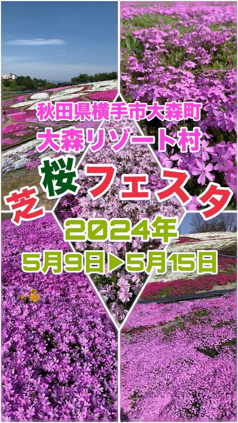 Hotel Dolphia-Adult Only Daisen (Akita) Exterior foto